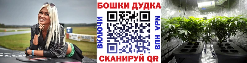 где можно купить Бирюсинск Конопля план